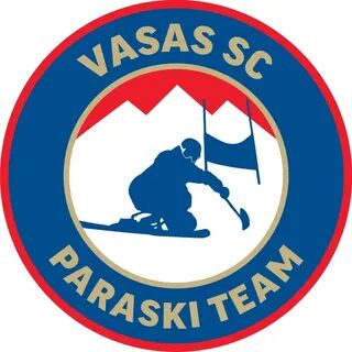 thumbnail_Vasas_Paraski_Team_logo_1200px.jpg